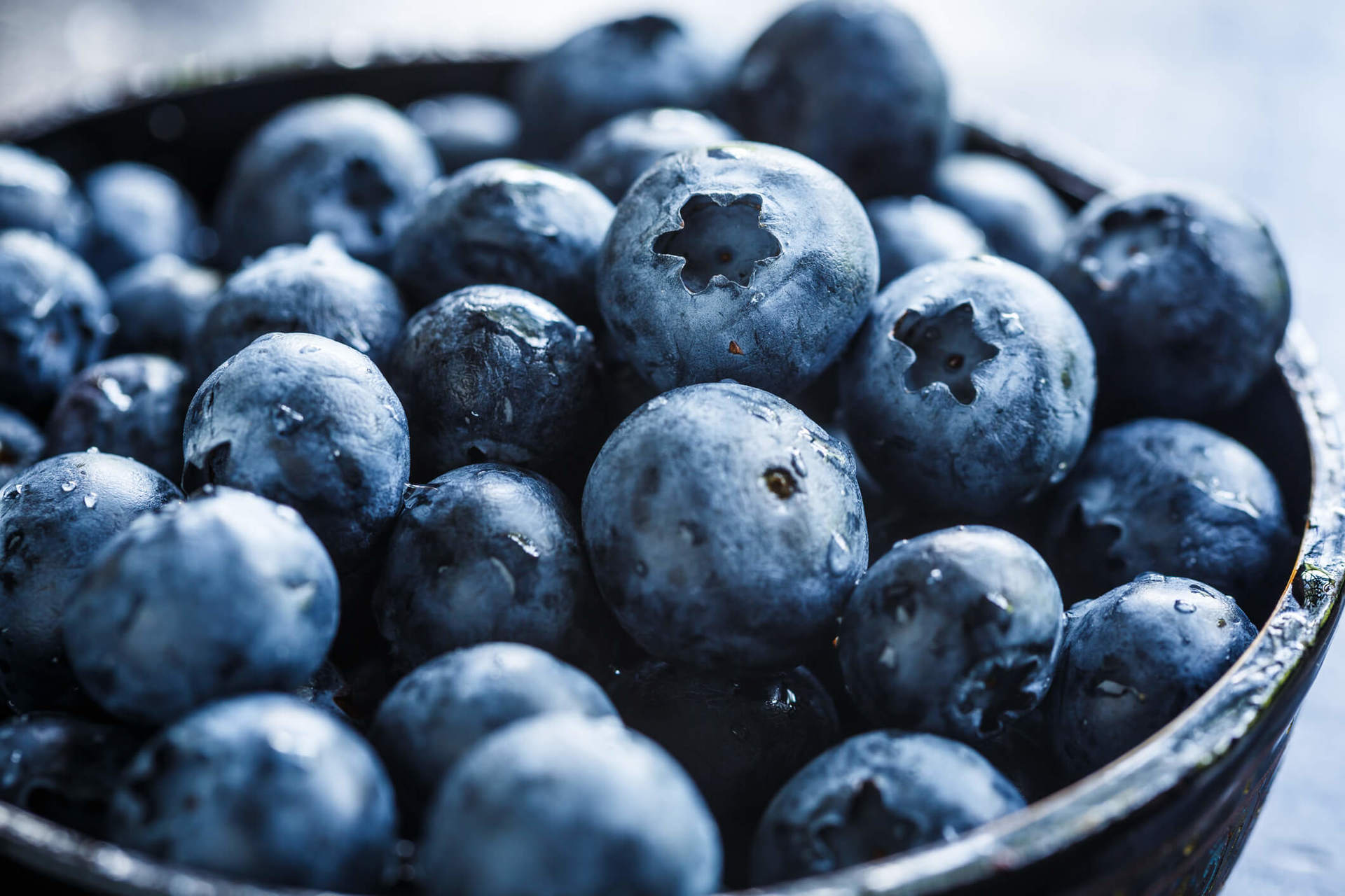 Blueberry: A fruta da juventude e que faz bem para a visão