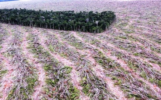 Em derrota para o Brasil, Europa dá sinal verde para sanções ambientais.