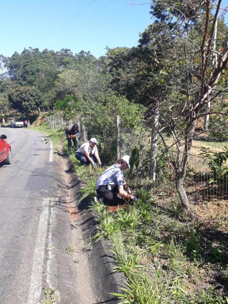 Projeto da Secretaria de Meio Ambiente de Guarapari planta 1.700 mudas de  arvores na subida de Buenos Aires - Imprensa Capixaba