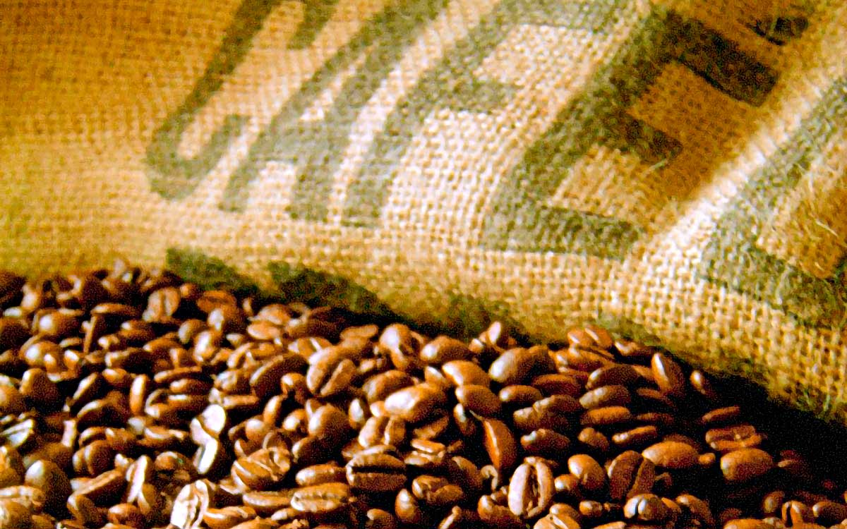 Cooperativa de café aumenta exportação em mais 70% no início de 2021