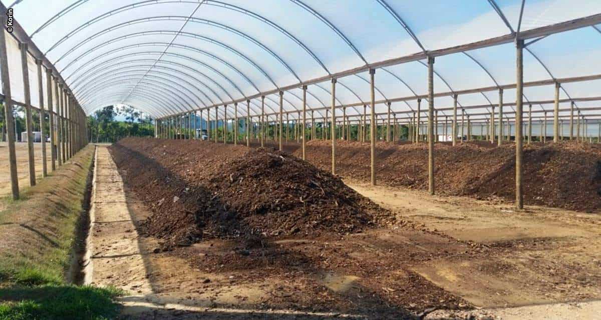 Compostagem inteligente acelera tratamento de resíduos orgânicos com  respeito à natureza - Diário Agrícola | AgroPlanning