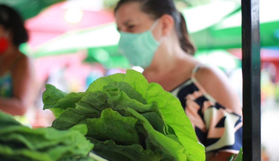 Feira da Agricultura Familiar da Ilha da Luz funcionará em novo endereço -  Prefeitura de Cachoeiro de Itapemirim - ES