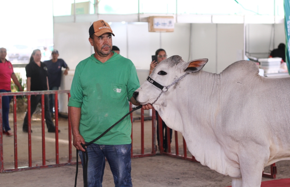 Exposul Rural 2023 será em maio, no novo centro de eventos de Cachoeiro -  Prefeitura de Cachoeiro de Itapemirim - ES