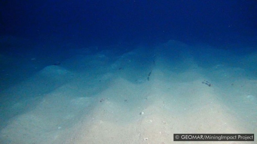 Essas marcas deliberadas no leito do oceano tinham 26 anos nesta foto tirada em 2015 - Foto: GEOMAR/MININGIMPACT PROJECT