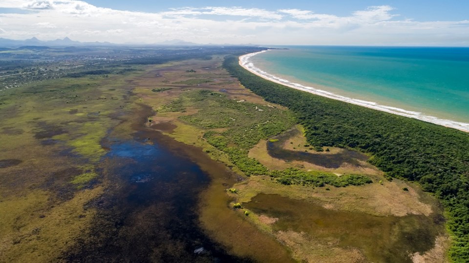 SETUR - Parque Estadual Paulo Cesar Vinha completa 30 anos e é referência  na preservação de restinga no Espírito Santo