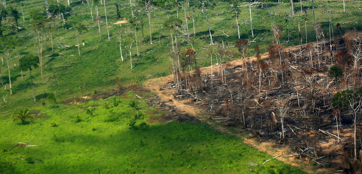 Vista aérea de área desmatada da Amazônia em Rondônia. 28/09/2021