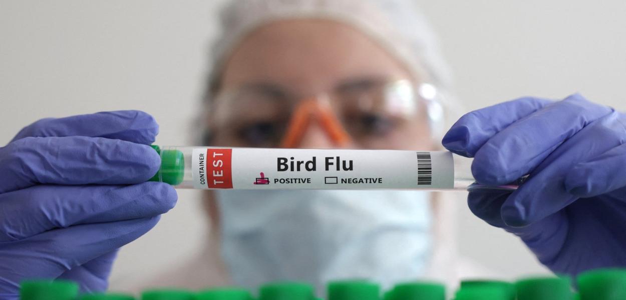 Ilustração mostra agente de saúde segurando um tubo escrito "gripe aviária" em inglês - 14/1/2023