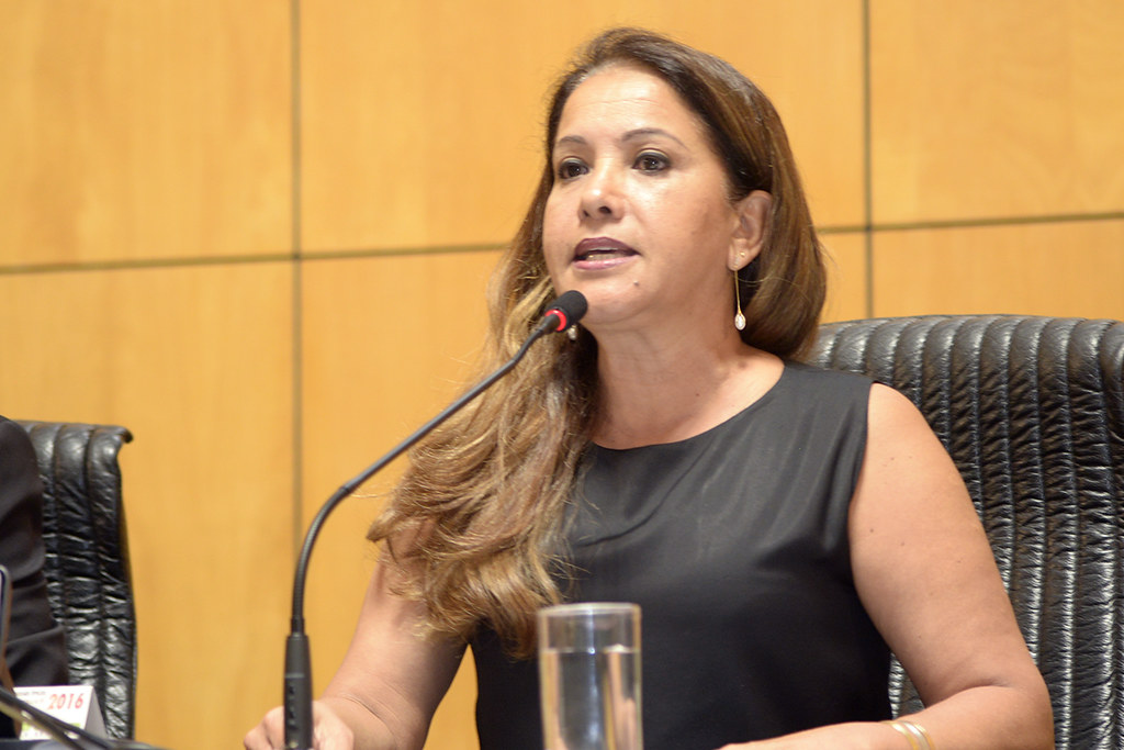 deputada Janete de Sá - Comissão de Agricultura - 22.03.20... | Flickr