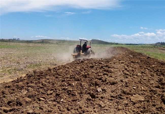 Cultivo da cana de açucar