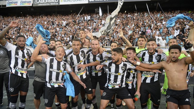 Jogadores do Botafogo comemoram o acesso