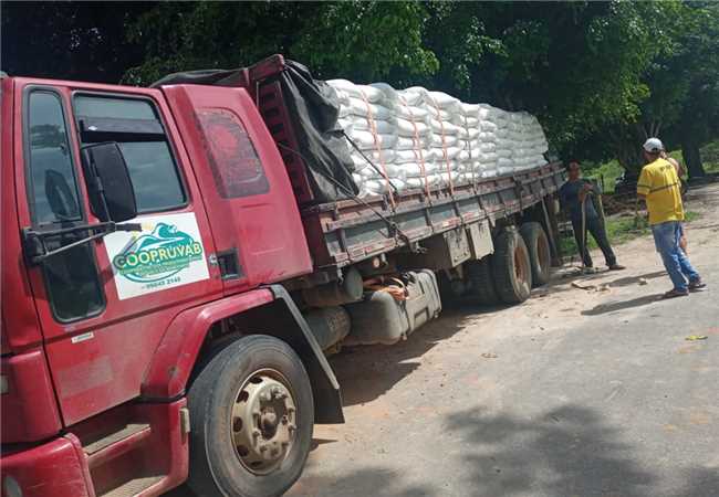 Distribuição de farelo para o gado