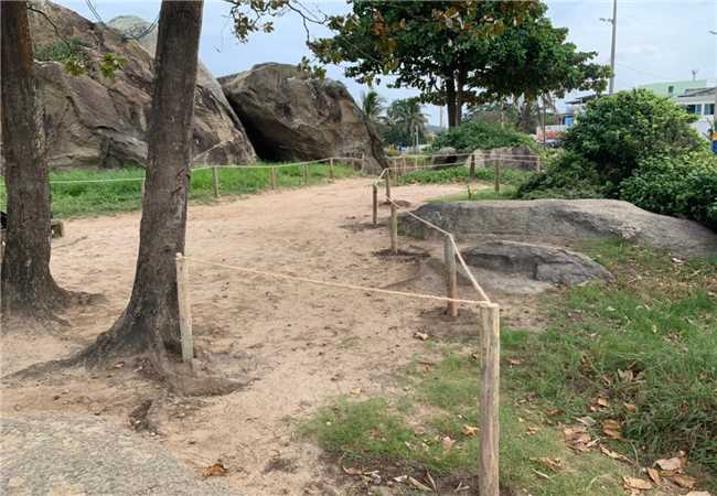 Educação ambiental