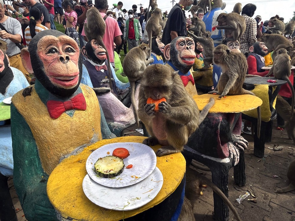 Macaco come refeição vegetariana na Tailândia - Foto: Chalida EKvitthayavechnukul/AP