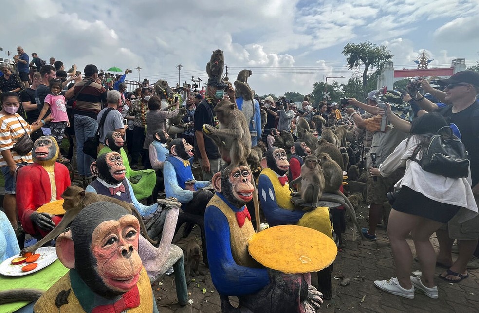 Macacos desfrutam de frutas durante festival de festa de macaco na província de Lopburi, Tailândia - Foto: Chalida EKvitthayavechnukul/AP