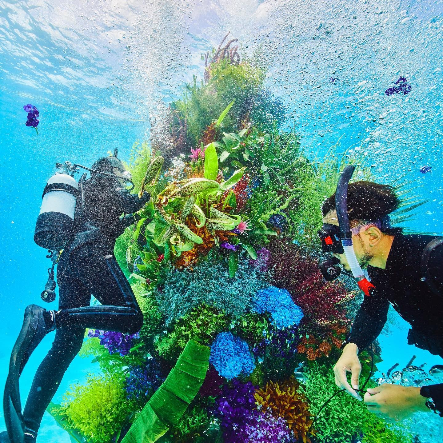 As cores vibrantes foram mantidas mesmo depois de um tempo sob a água salgada (Foto: Instagram / @azumamakoto / Reprodução)