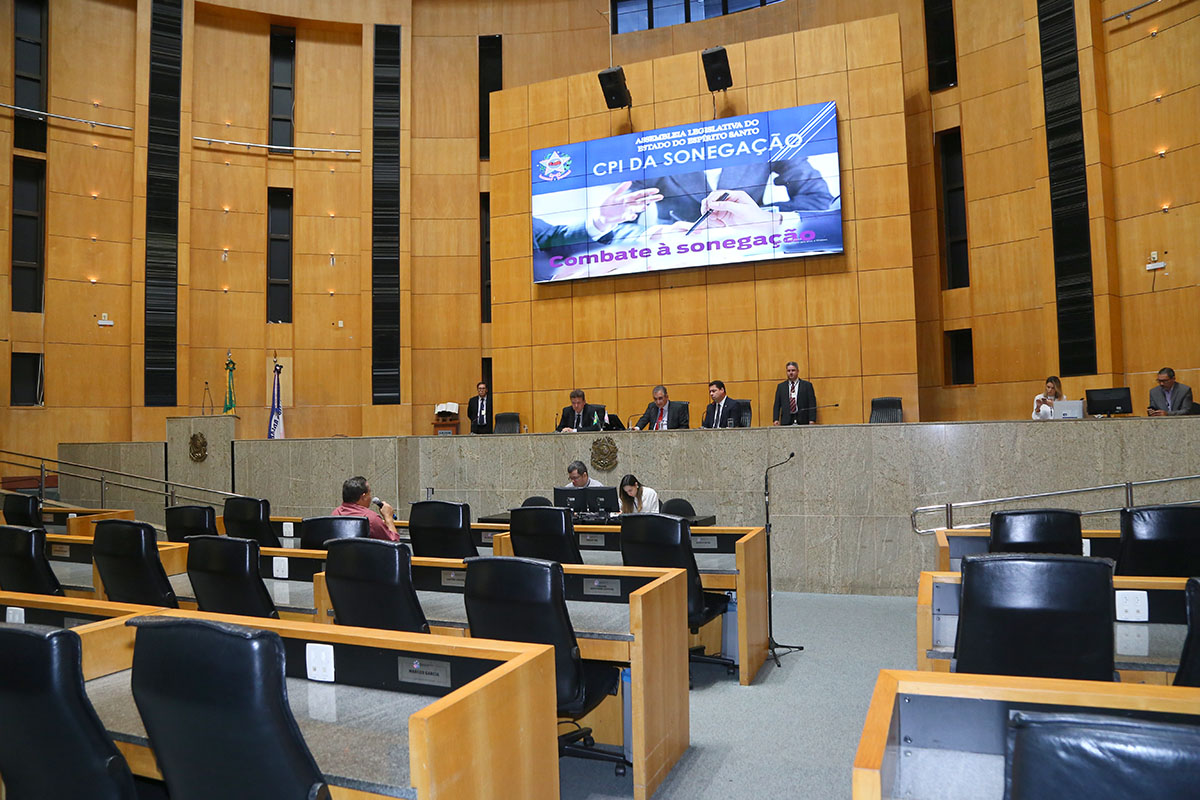 No Plenário, deputados sentados atrás de mesa e uma pessoa sentada de costas 