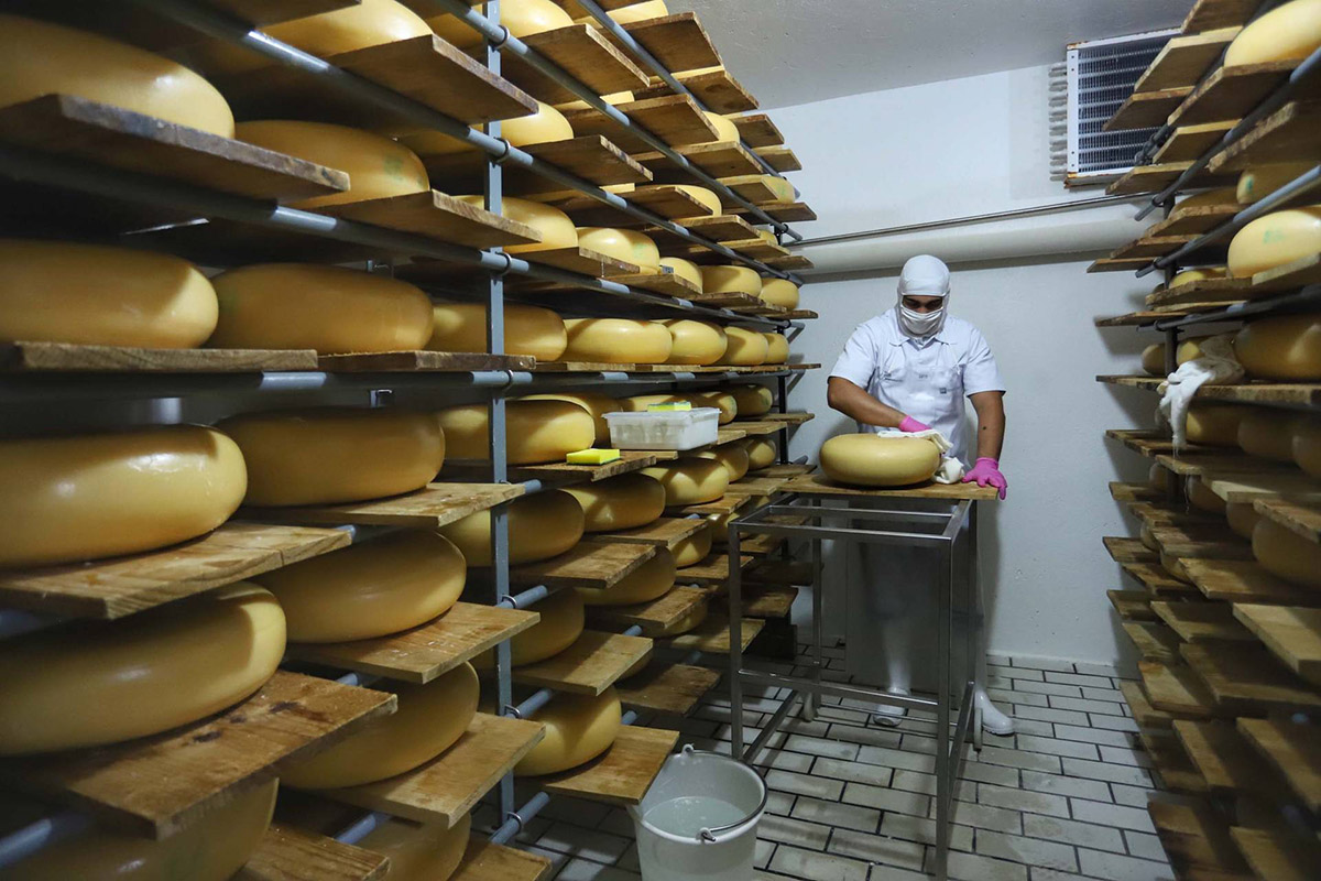 Pessoa dentro de estufa de produção de queijos 