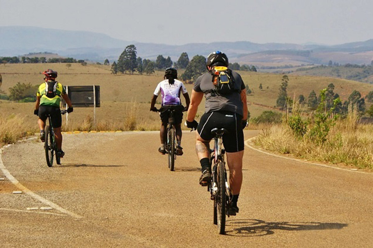 Três ciclistas de costas andando de bicicleta em estrada rural