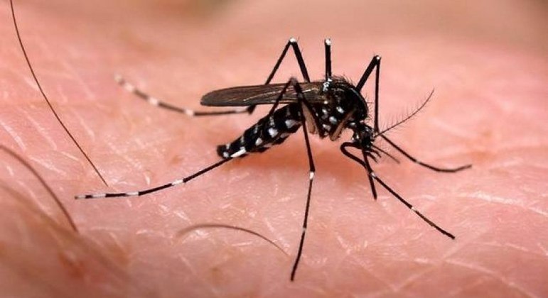 Em seis meses, Brasil já registra 130% mais mortes por dengue