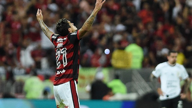 Pedro comemora o gol do Flamengo