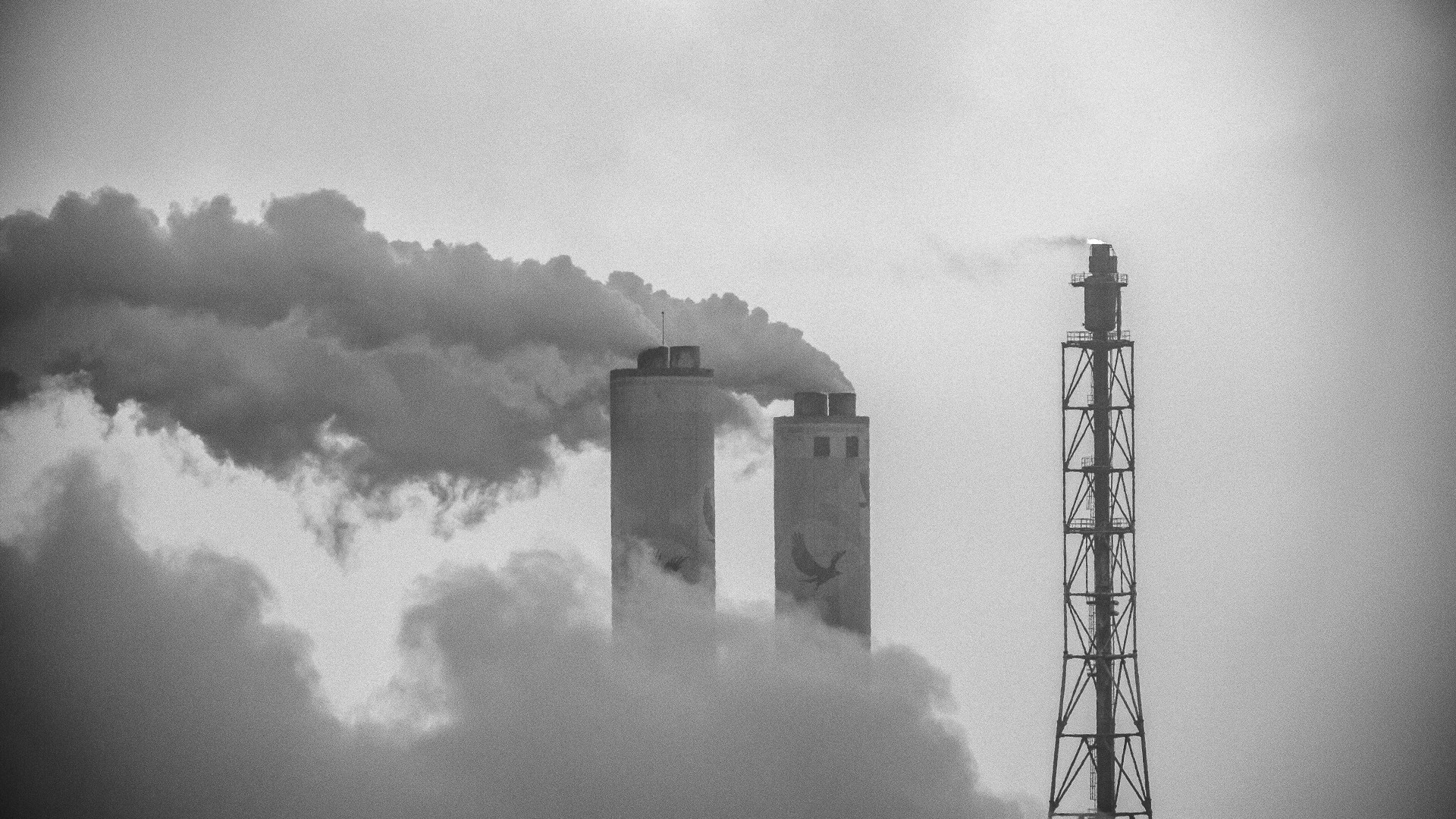 Aquecimento global de 1,5°C pode levar até 14% das espécies à extinção