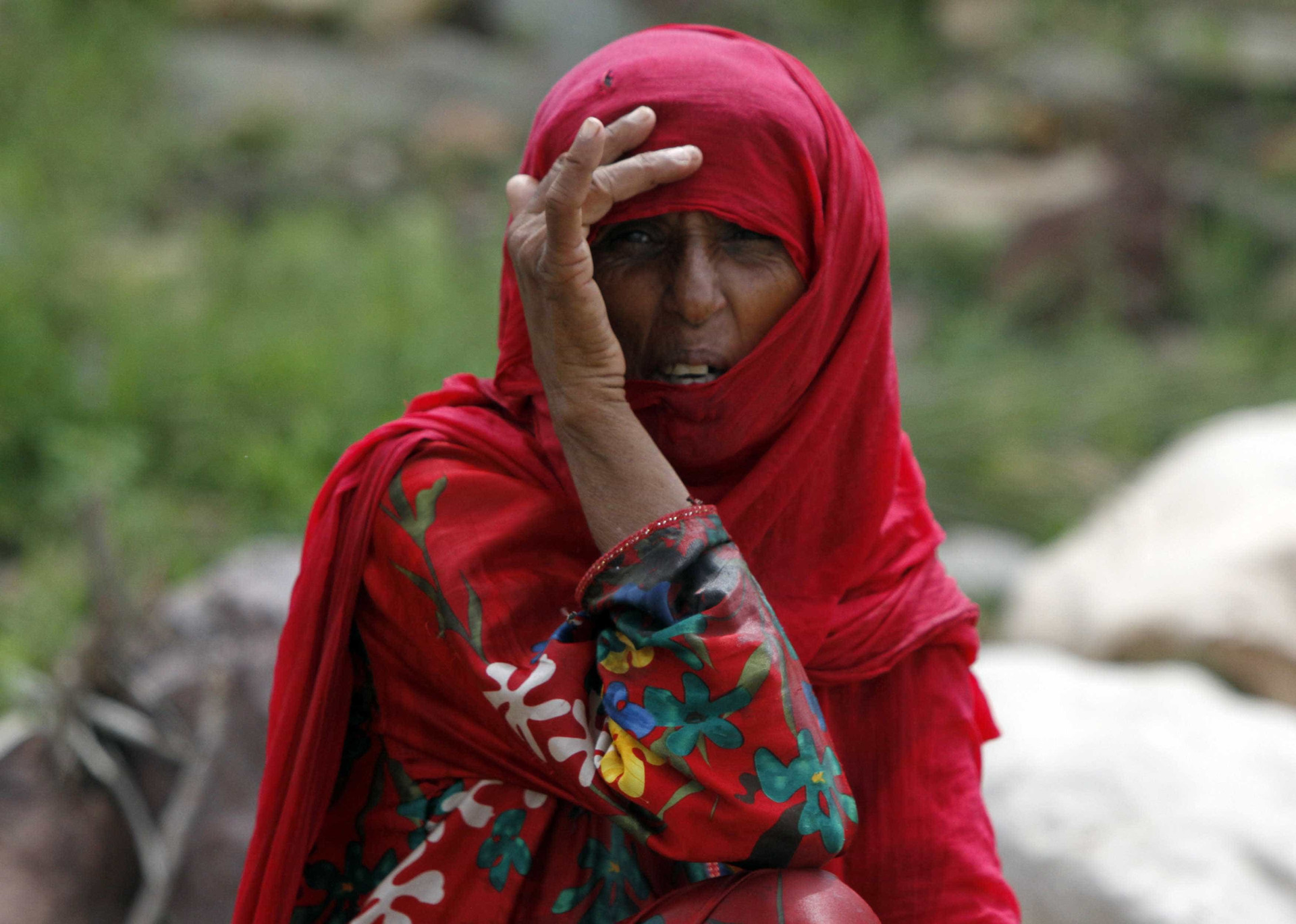 Ilha de Socotra: o destino mais alienígena do planeta Terra