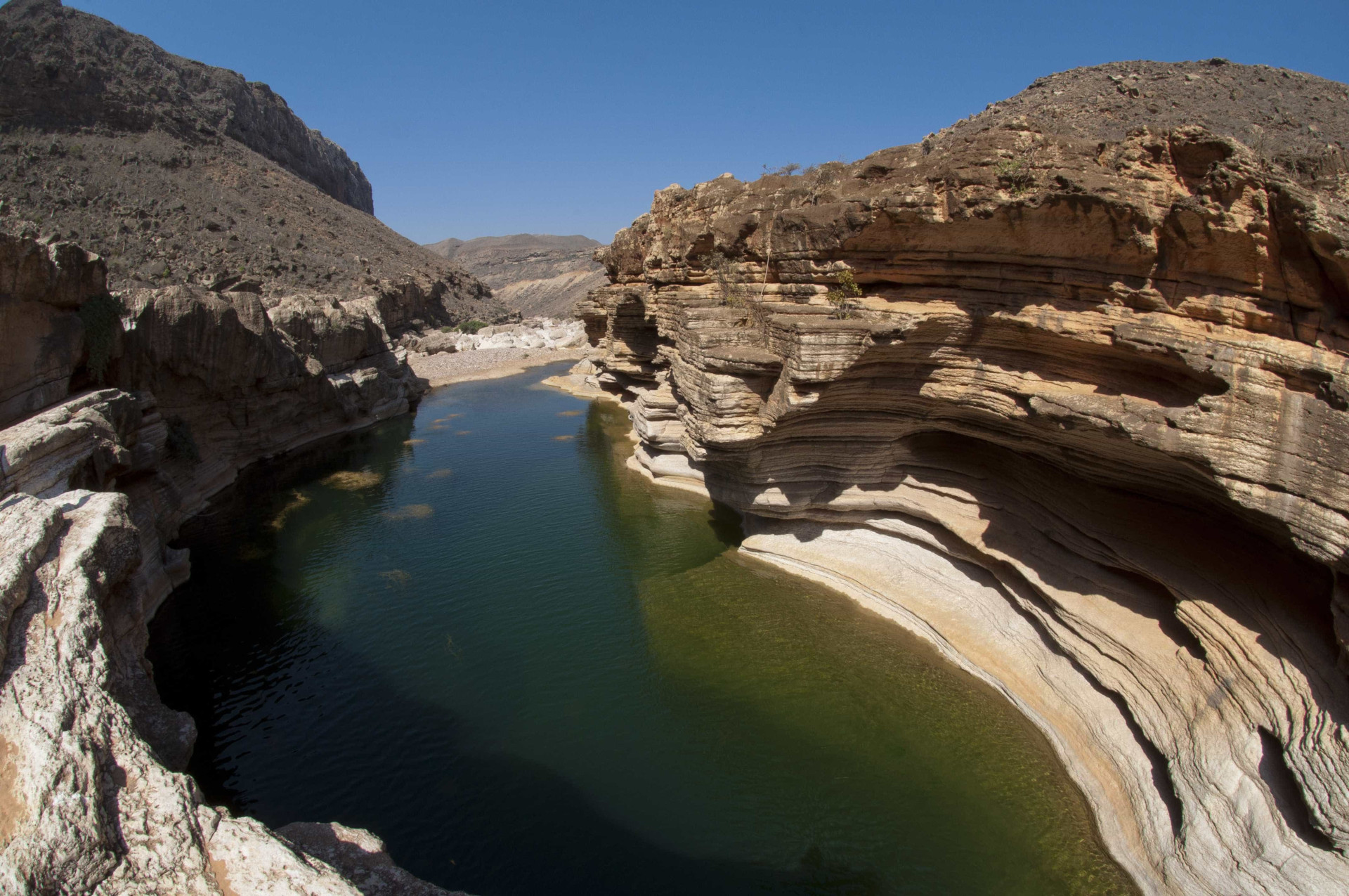 Ilha de Socotra: o destino mais alienígena do planeta Terra