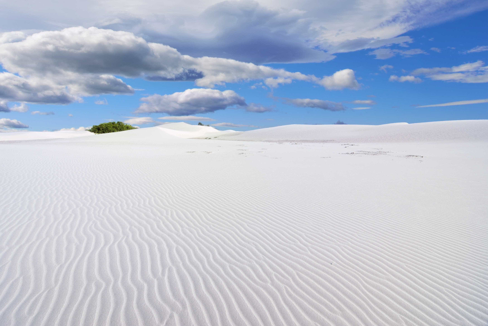 Ilha de Socotra: o destino mais alienígena do planeta Terra