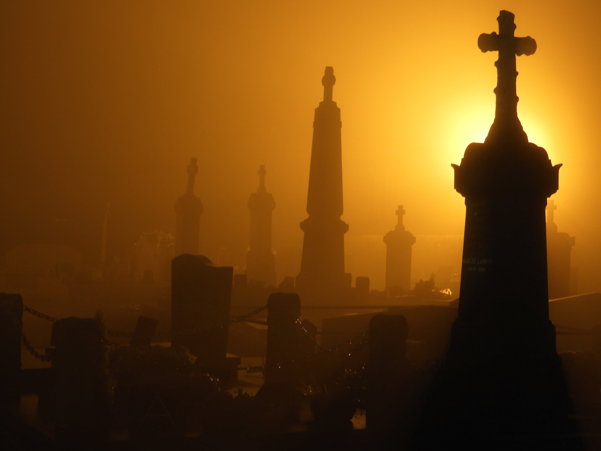 Catalepsia: casos sinistros de pessoas que foram enterradas vivas