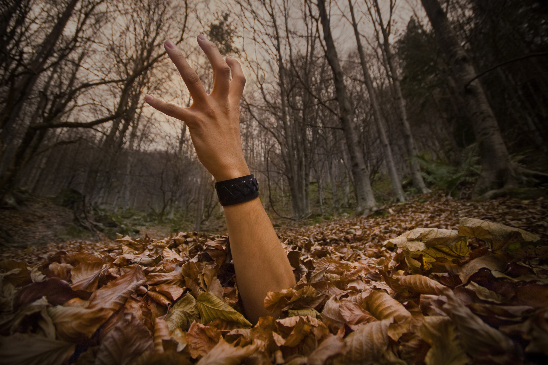 Catalepsia: casos sinistros de pessoas que foram enterradas vivas