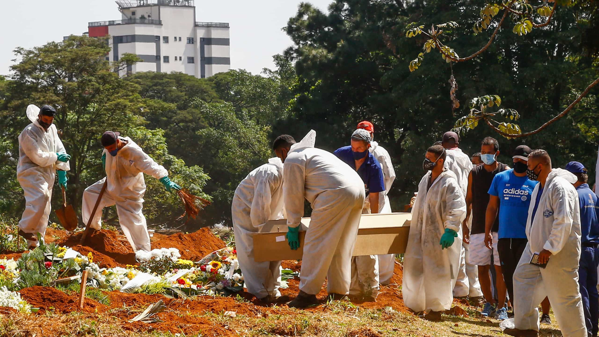 Brasil registra 2.595 mortes e 68.333 novos casos de covid-19 em 24h