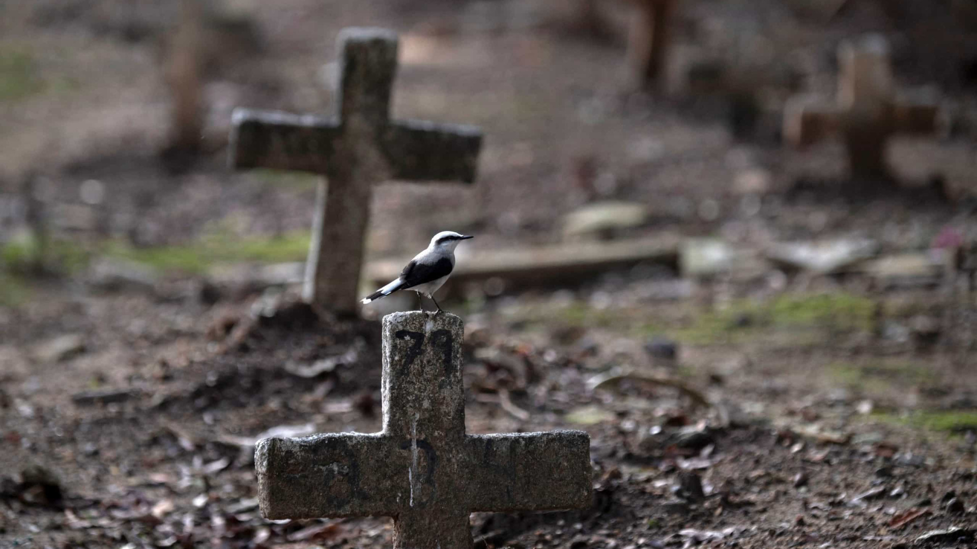 Número de mortes por covid-19 no Brasil chega a 449.068