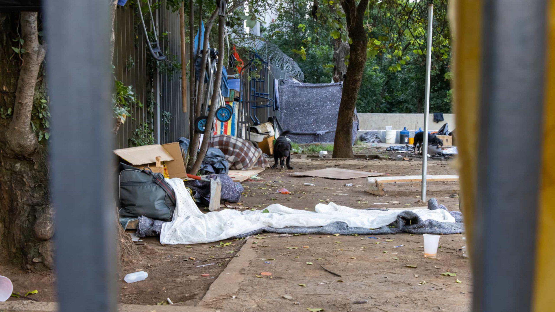 Morador de rua morre em SP durante madrugada com sensação térmica de -1°C