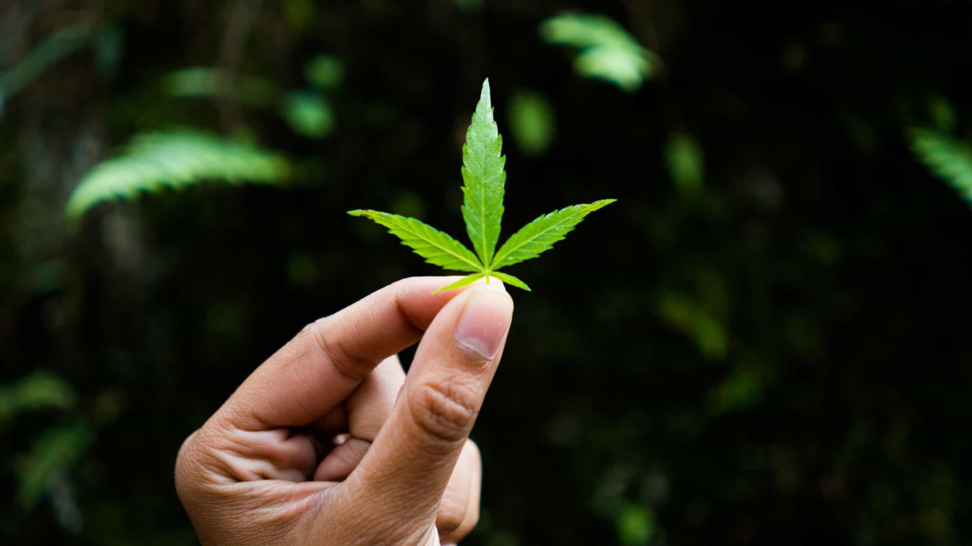 Maconha aumenta desejo sexual e intensidade do orgasmo, sugere estudo