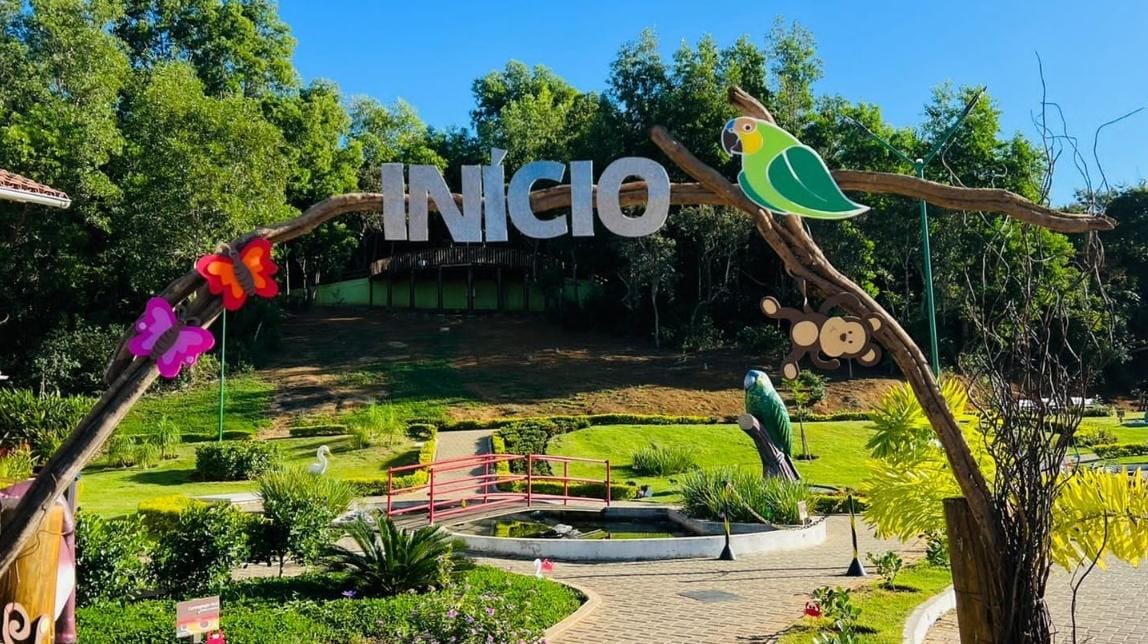 Diversas atividades no parque para comemorar primeiro aniversário.