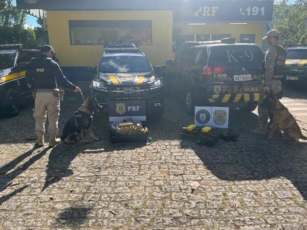 PRF apreende drogas escondidas em ônibus com destino ao ES