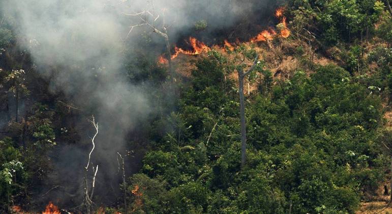 Alertas de desmatamento na Amazônia Legal de janeiro a junho de 2022 é o maior em 7 anos