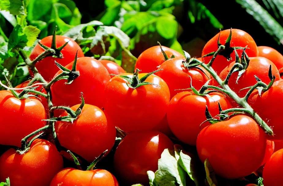 Guarde os tomates virados para baixo