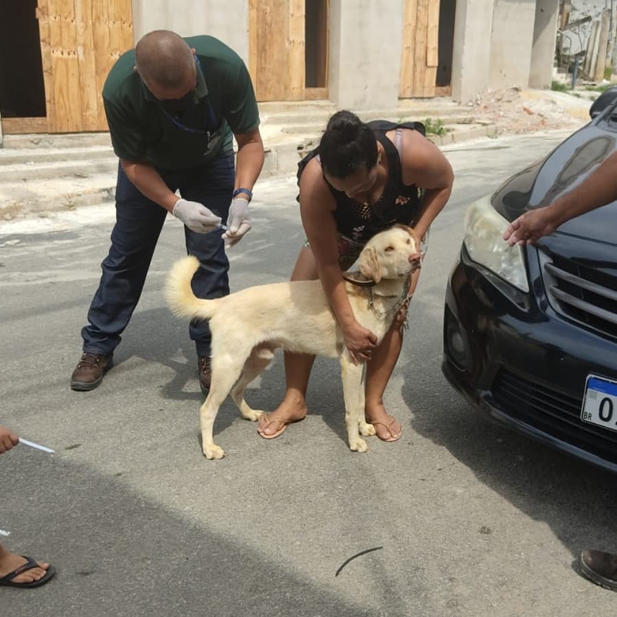 Prefeitura de Guarapari supera meta vacinal de cães e gatos contra raiva -  PREFEITURA MUNICIPAL DE GUARAPARI - ES