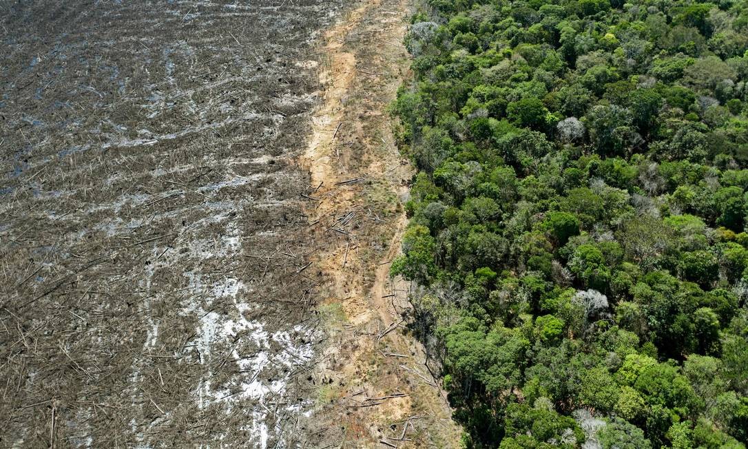 Área desmatada perto do município de Sinop, no Mato Grosso Foto: FLORIAN PLAUCHEUR / AFP